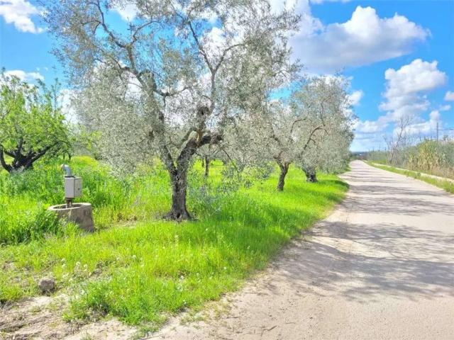 Terreno in vendita a Puglia, Foggia