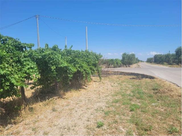 Terreno in vendita a Puglia, Foggia