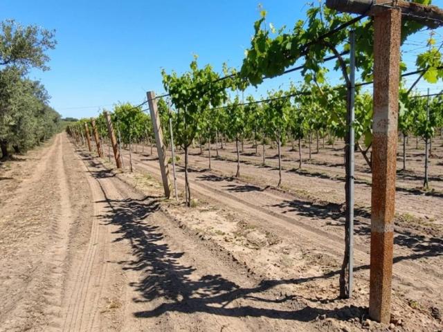 Terreno in vendita a Puglia, Foggia