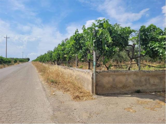 Terreno in vendita a Puglia, Foggia