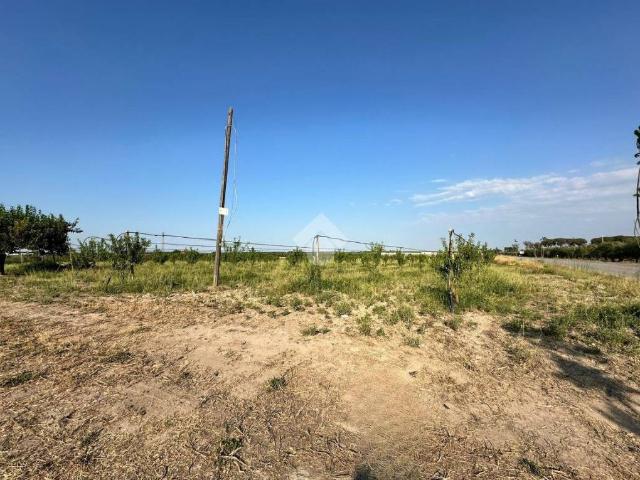 Terreno in vendita a Puglia, Foggia