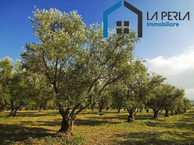 Terreno in vendita a Puglia, Foggia