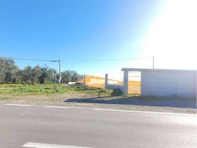 Terreno in vendita a Puglia, Foggia