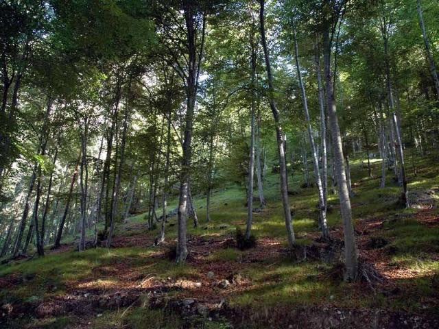 Terreno in vendita a Asnago di Cermenate, Cermenate