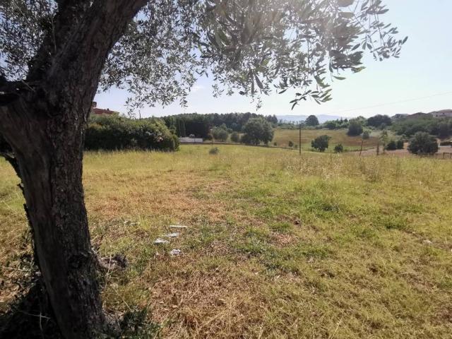 Terreno in vendita a Unione dei Comuni Circondario dell'Empolese Valdelsa, Cerreto Guidi