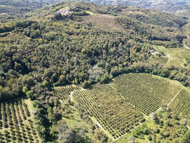 Terreno in vendita a Piemonte, Cuneo