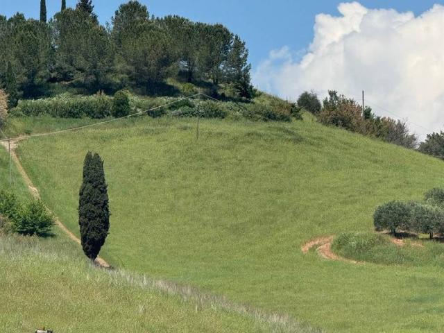 Terreno in vendita a Unione dei Comuni Circondario dell'Empolese Valdelsa, Lucardo