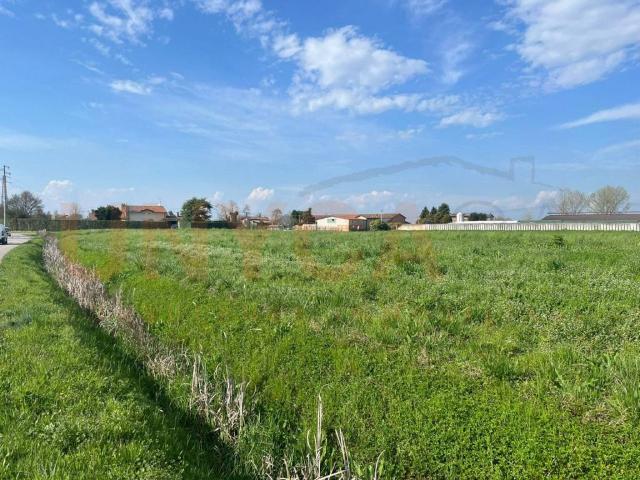 Terreno in vendita a Cervarese Santa Croce, Veneto
