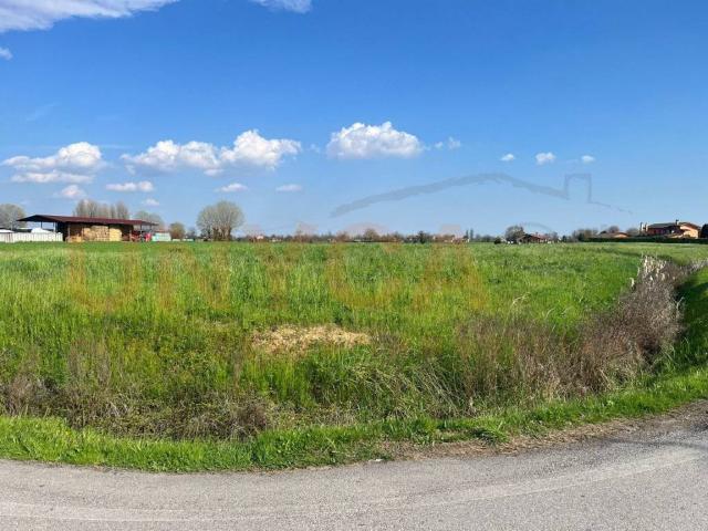 Terreno in vendita a Cervarese Santa Croce, Veneto