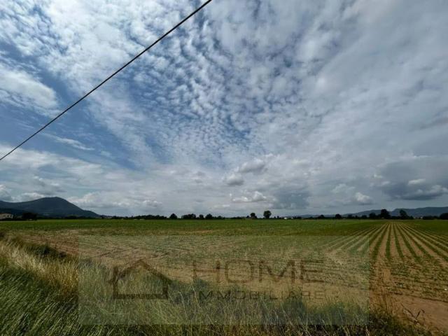 Terreno in vendita a Cervarese Santa Croce, Veneto
