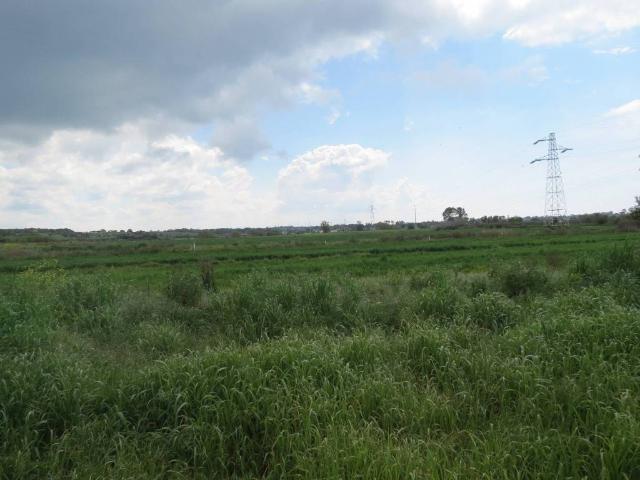 Terreno in vendita a Piane di Vaccina, Roma Capitale
