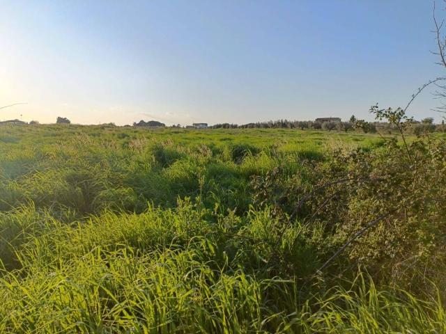 Terreno in vendita a Roma Capitale, Lazio