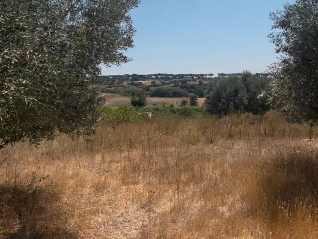 Terreno in vendita a Vigna della Casa, Roma Capitale