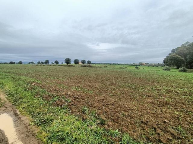 Terreno in vendita a Roma Capitale, Lazio