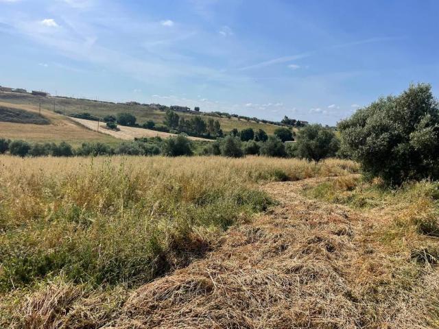Terreno in vendita a Roma Capitale, Lazio