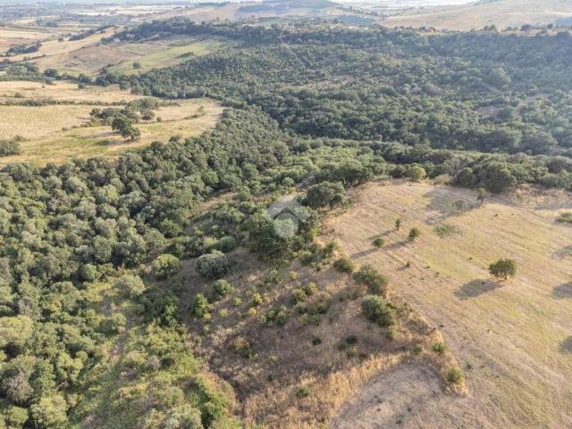 Terreno in vendita a Sasso, Roma Capitale