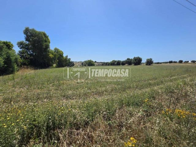Terreno in vendita a Roma Capitale, Lazio