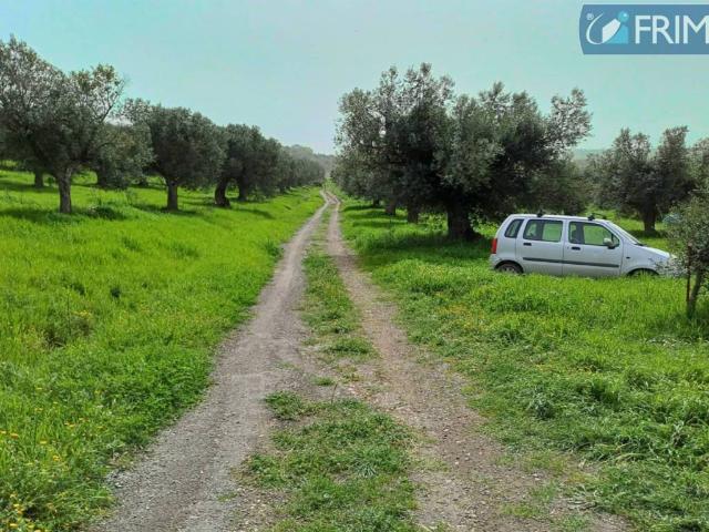 Terreno in vendita a Roma Capitale, Lazio