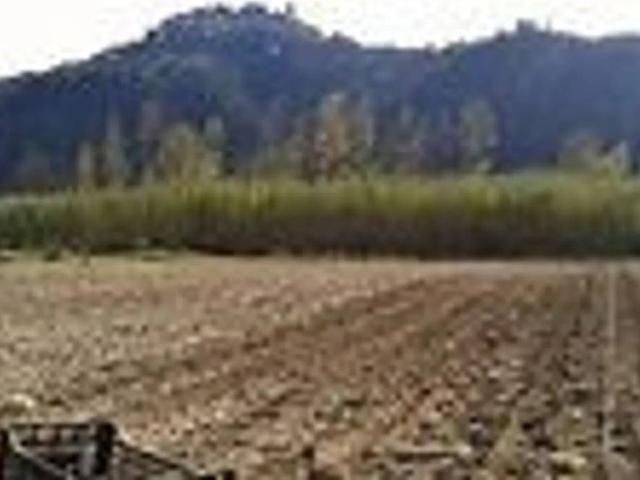 Terreno in vendita a Roma Capitale, Lazio