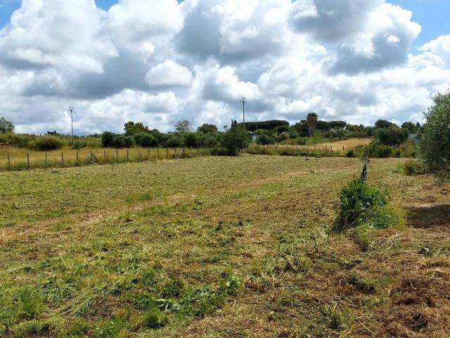 Terreno in vendita a Poggio dell'Asino, Roma Capitale
