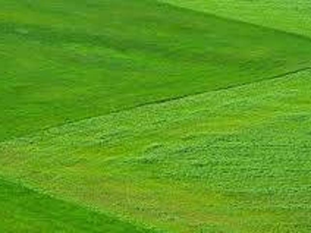 Terreno in vendita a Cesate, Lombardia