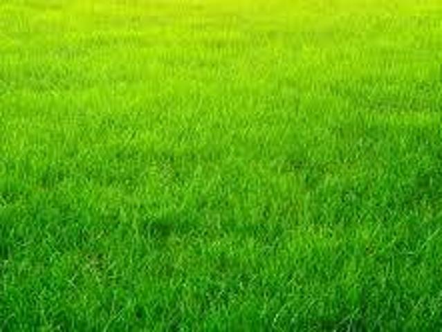 Terreno in vendita a Cesate, Lombardia