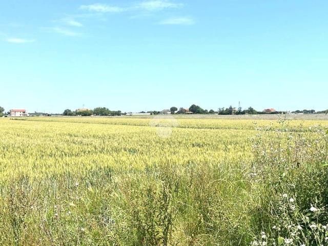 Terreno in vendita a Unione dei comuni Valle del Savio, Cesenà