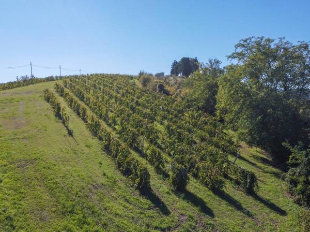 Terreno in vendita a Unione dei comuni Valle del Savio, Cesenà