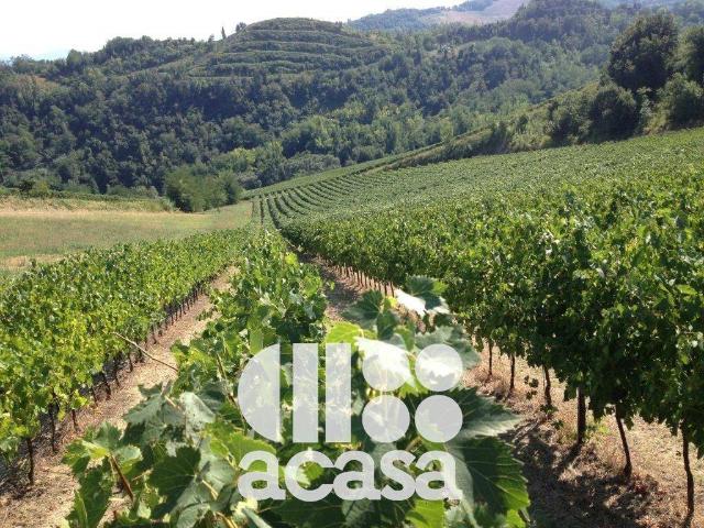Terreno in vendita a Unione dei comuni Valle del Savio, Cesenà