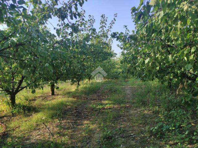 Terreno in vendita a Unione dei comuni Valle del Savio, Cesenà