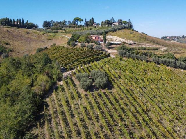 Terreno in vendita a Unione dei comuni Valle del Savio, Cesenà
