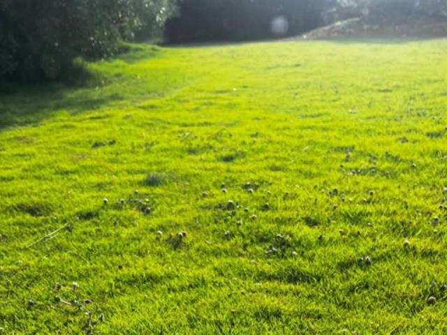 Terreno in vendita a Unione dei comuni Valle del Savio, Cesenà