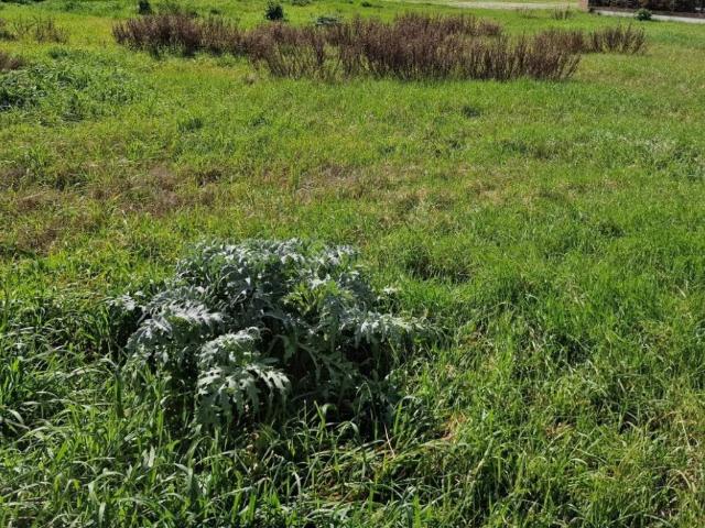 Terreno in vendita a Quartiere Al Mare, Cesenatico