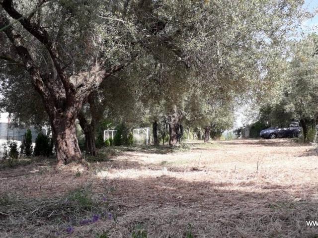 Terreno in vendita a Calabria, Vibo Valentia