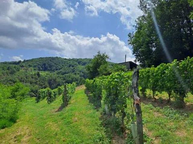 Terreno in vendita a Piemonte, Asti