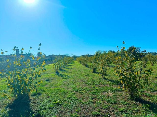 Terreno in vendita a Piemonte, Cuneo