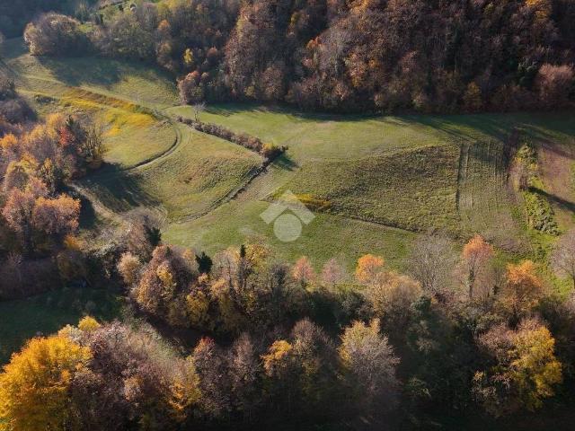 Terreno in vendita a Chiampo, Veneto