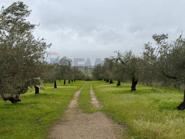 Terreno in vendita a Chiaramonte Gulfi, Sicilia