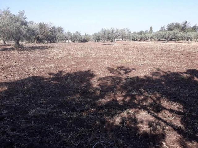 Terreno in vendita a Cifali, Chiaramonte Gulfi
