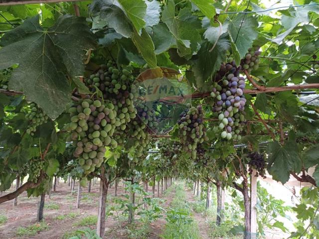 Terreno in vendita a Chiaramonte Gulfi, Sicilia