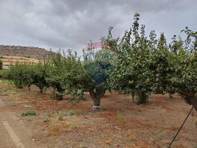 Terreno in vendita a Chiaramonte Gulfi, Sicilia
