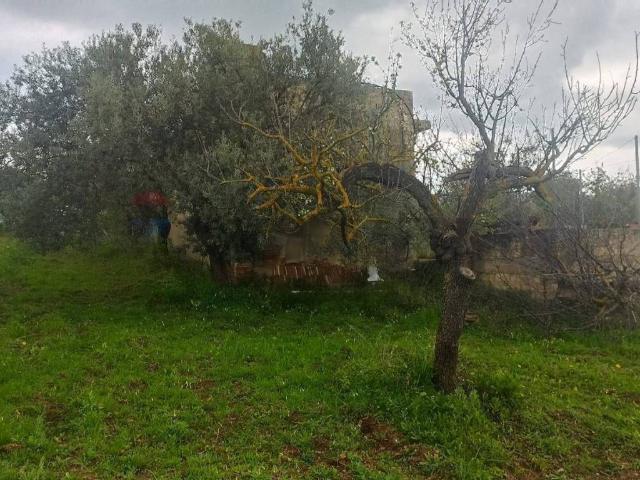 Terreno in vendita a Chiaramonte Gulfi, Sicilia