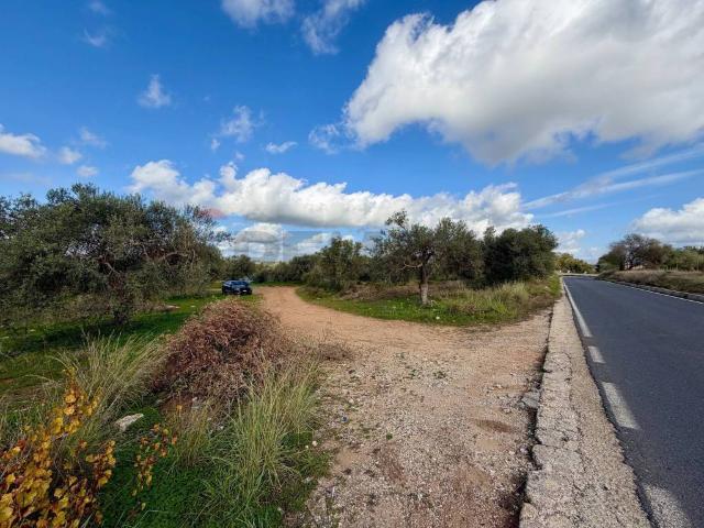 Terreno in vendita a Chiaramonte Gulfi, Sicilia