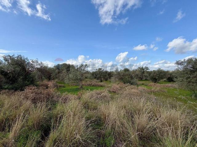 Terreno in vendita a Chiaramonte Gulfi, Sicilia