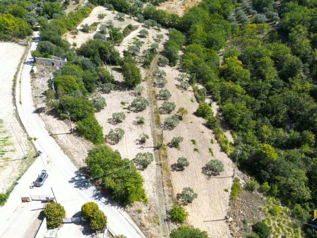 Terreno in vendita a Chiaramonte Gulfi, Sicilia