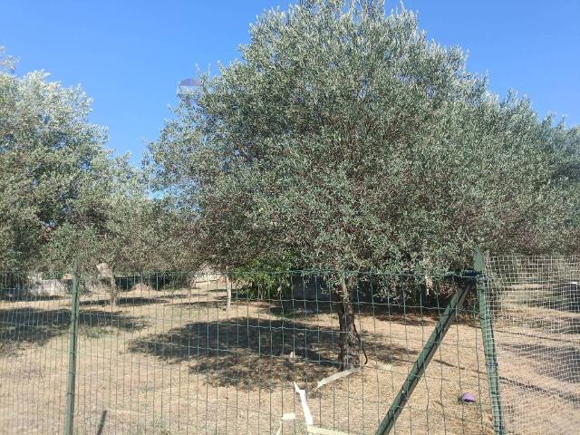 Terreno in vendita a Cifali, Chiaramonte Gulfi