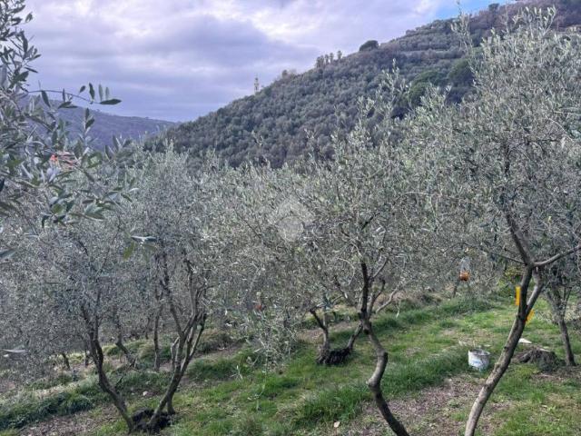 Terreno in vendita a Chiavari, Liguria