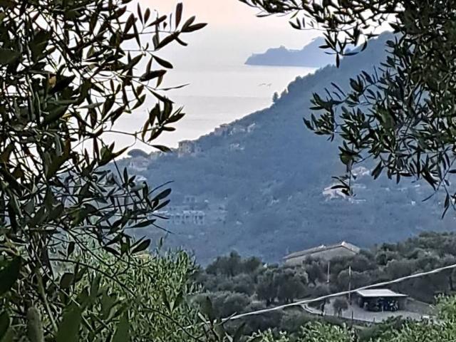 Terreno in vendita a Carmini, Leivi