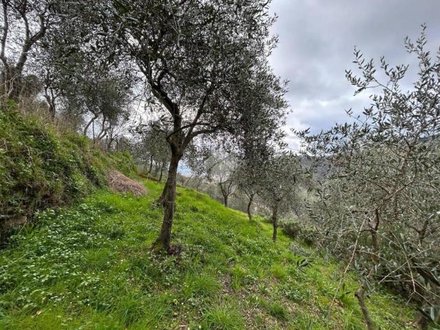 Terreno in vendita a Chiavari, Liguria