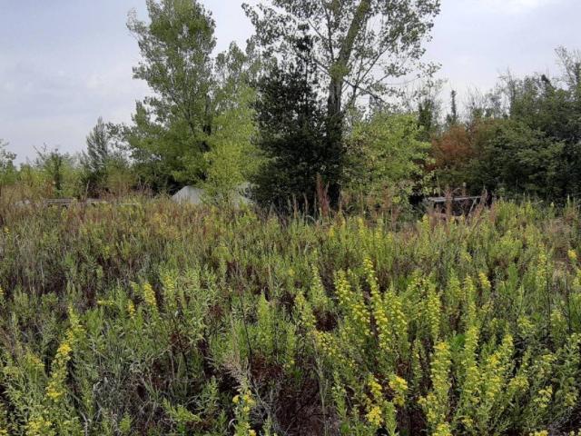 Terreno in vendita a Chieti Scalo, Chieti